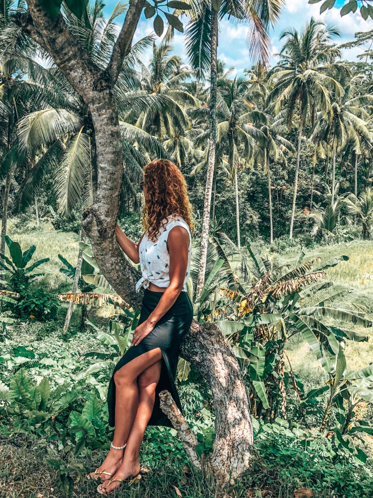 Reisterrassen Tegalalang Bali Ubud